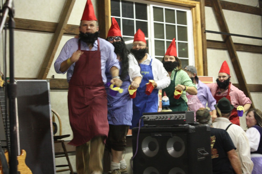 Doanaumusikanten - tour 2011