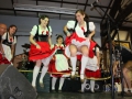 Donaumusikanten 2013