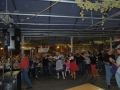 Donaumusikanten 2013
