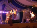 Donaumusikanten 2010
