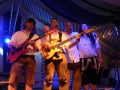 Donaumusikanten 2010